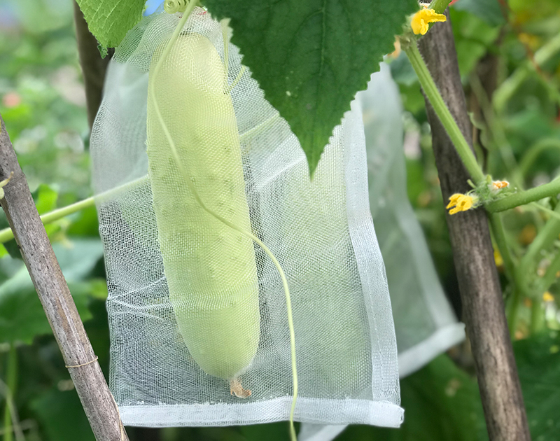 網 袋